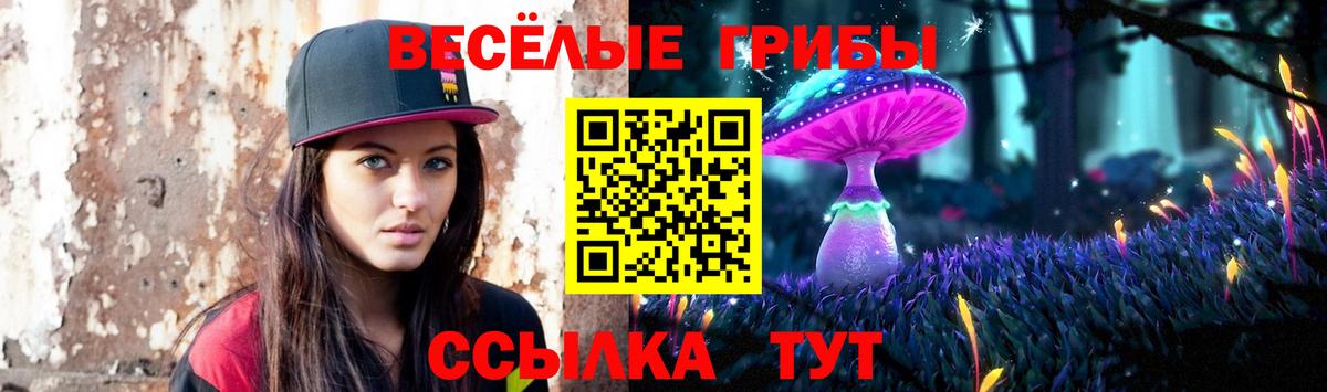 Псилоцибиновые грибы мицелий Тутаев